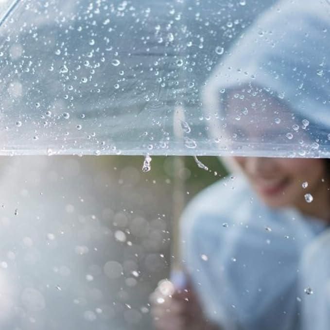 Clear Dome See Through Umbrella Transparent Rain Windproof