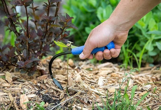 Cobra Head Mini Weeder Pack of 2
