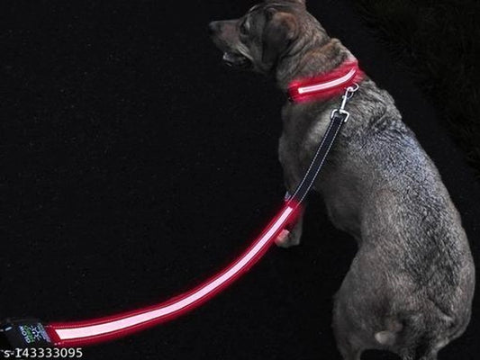 Cotton 0.1 inches Harness with 5 Feet Leash for Dog (Multicolor, S) (Set of 1)